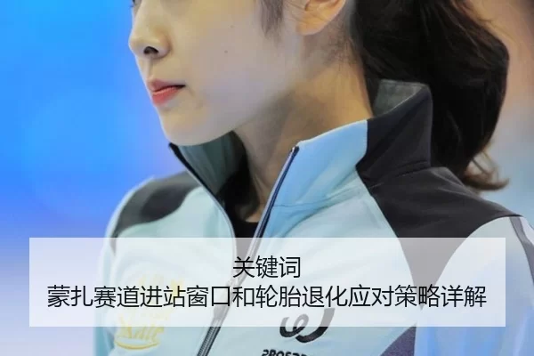guan-jian-ci-meng-zha-sai-dao-jin-zhan-chuang-kou-he-lun-tai-tui-hua-ying-dui-ce-lve-xiang-jie-2-368.jpg
