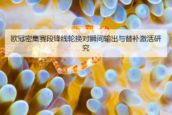 ou-guan-mi-ji-sai-duan-feng-xian-lun-huan-dui-shun-jian-shu-chu-yu-ti-bu-ji-huo-yan-jiu-2-350.jpg
