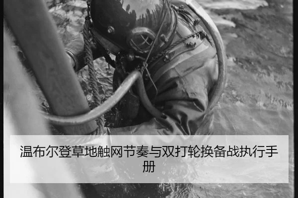 wen-bu-er-deng-cao-di-chu-wang-jie-zou-yu-shuang-da-lun-huan-bei-zhan-zhi-xing-shou-ce-1-873.jpg